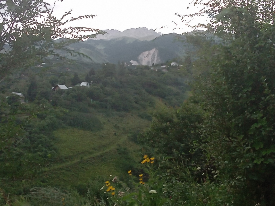 IMG-20240725-180902.jpg