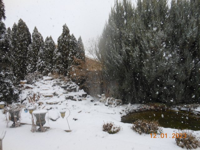 DSCN7333