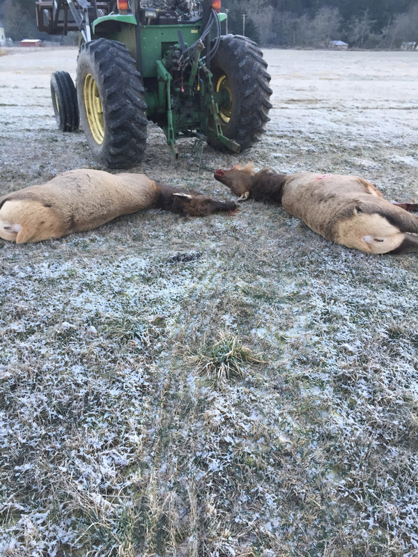 9B54244B-8B8A-4D7F-95F6-86966C5C6FEB