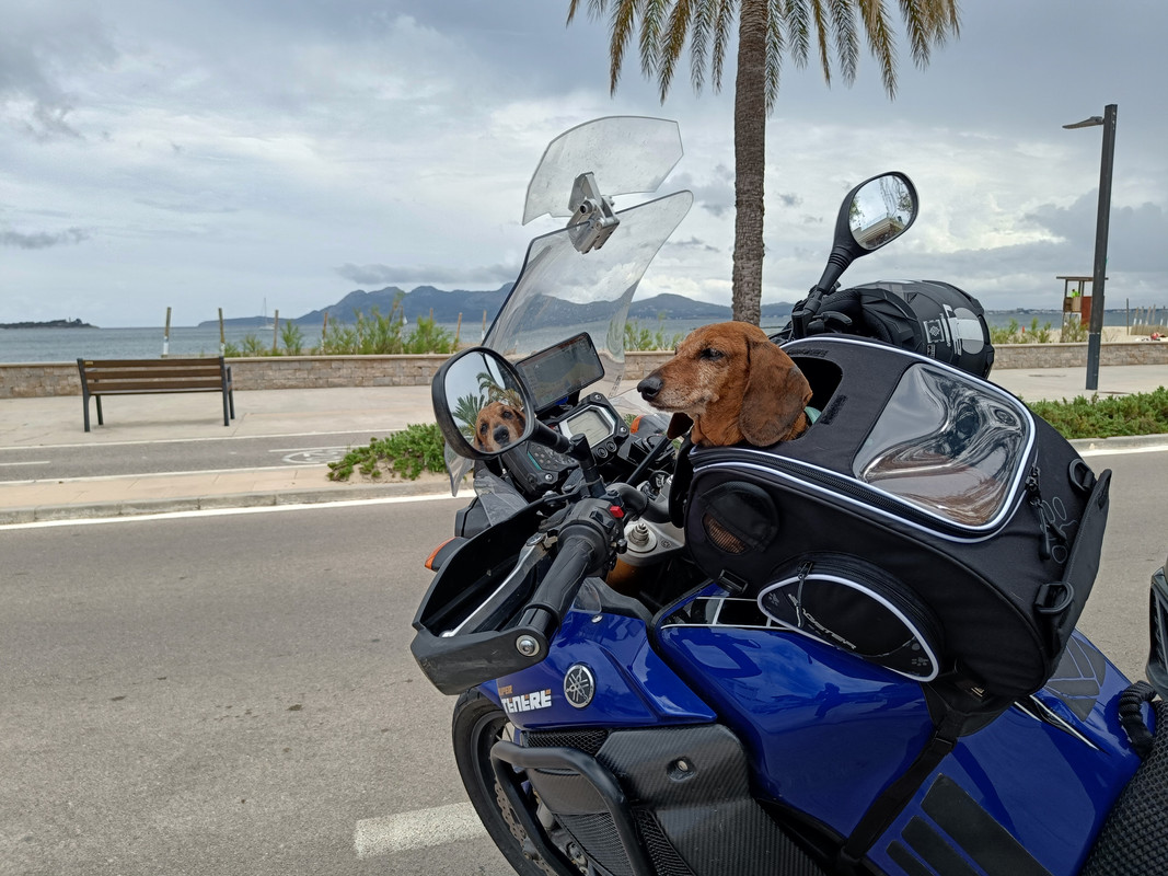 [Image: IMG20240520150448.jpg]