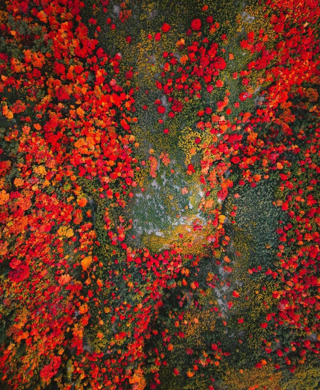 Screenshot_20231206_214736_Instagram