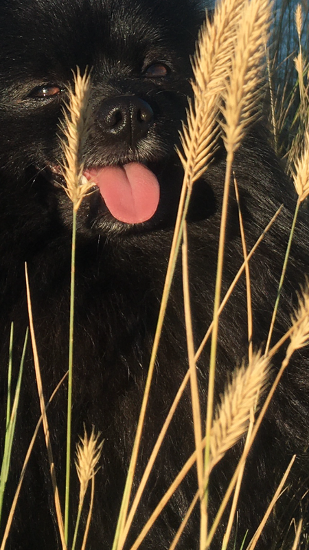 0FD0E660-2292-468B-AA2D-5B802E795E04