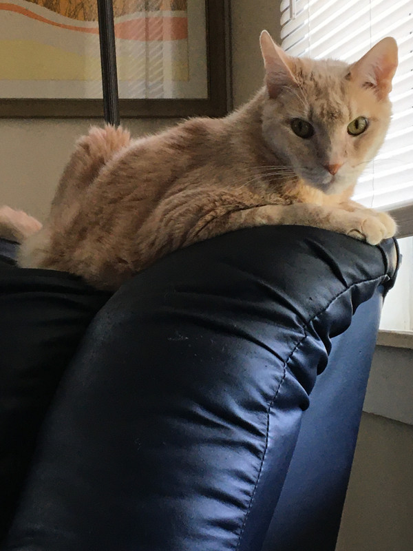 DF8C394D-FCF8-44C4-978C-CA7E0D4B1D35