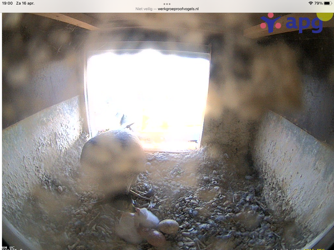 C80DA665-15B6-4537-8DD4-C706A8B1B57F