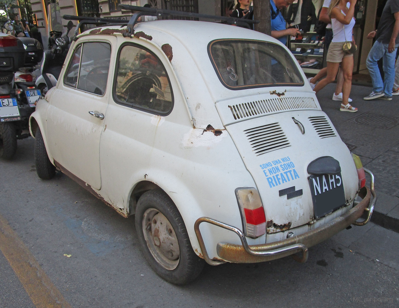 IMG-8544.jpg