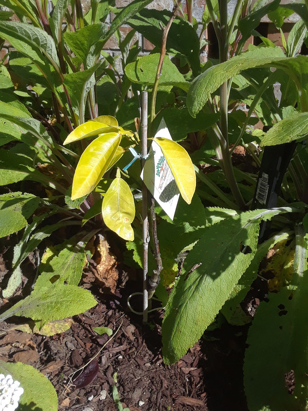 20190430_094752