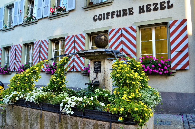 MURTEN-4-9-2019 - Suiza y sus pueblos-2019 (39)