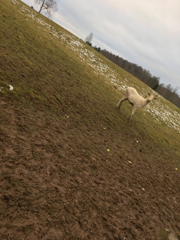 05912A06-9578-4CC0-A167-C7549E003DE0