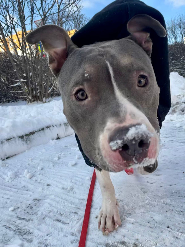 6A29425B-3FE3-4447-8ECE-5AD444964157