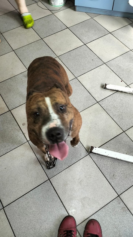 WhatsApp Image 2023-10-03 at 23.42.25 (1)