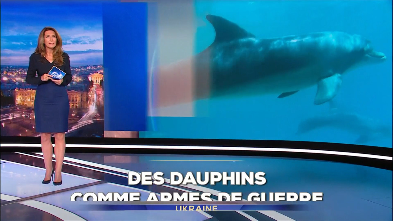 2022-11-04_20_00_TF1_Le-20h.mp4_snapshot_03.55.087