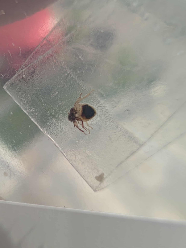 received_3176431322504479