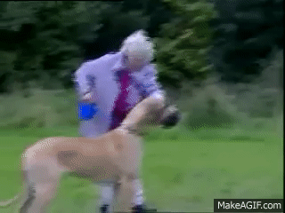 85475094-697A-46EF-87B6-D7E9BA28CC16