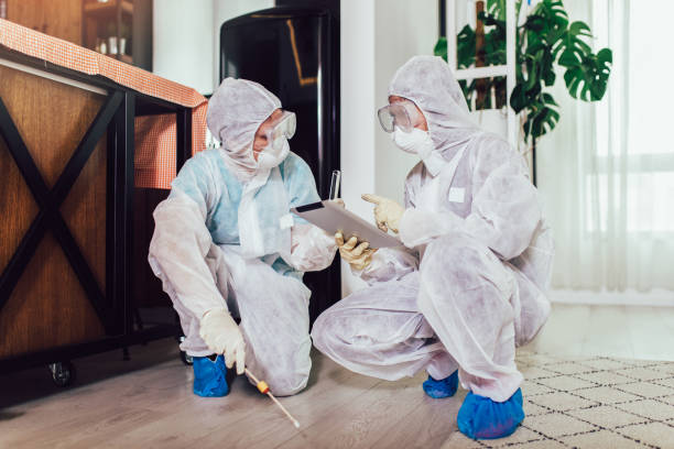 After pest control treatment