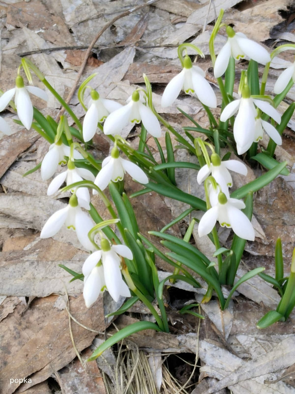 f49c5fa5-f610-47a5-b4fb-b3eff1f72340 (1)