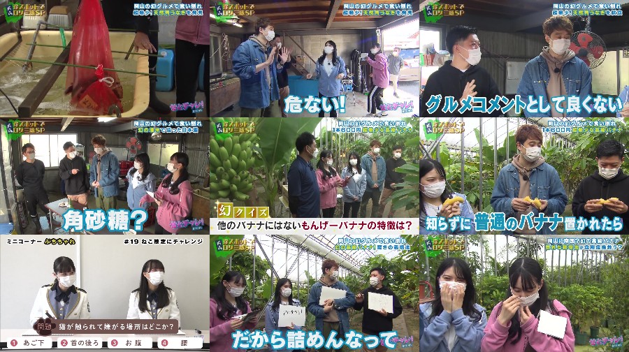 せとチャレ！STU48 ep176