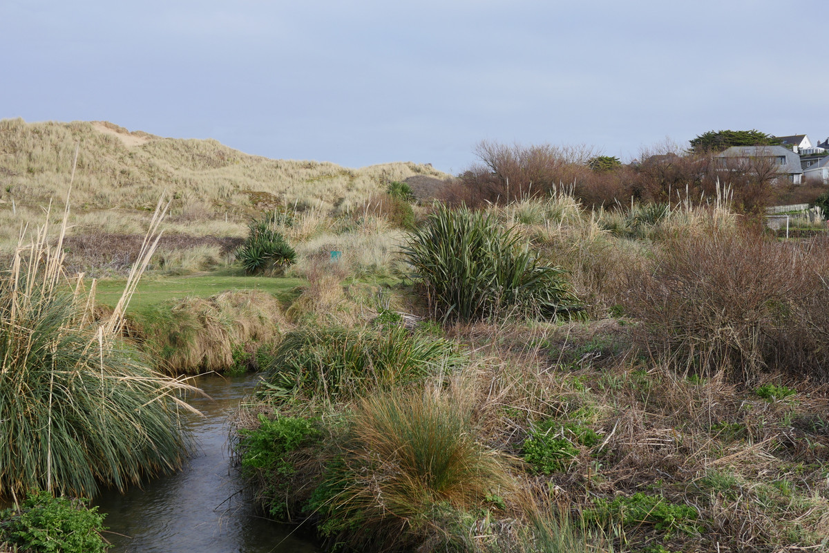 11AE277F-B0F1-4DEF-8B41-5DD6F2583BF1