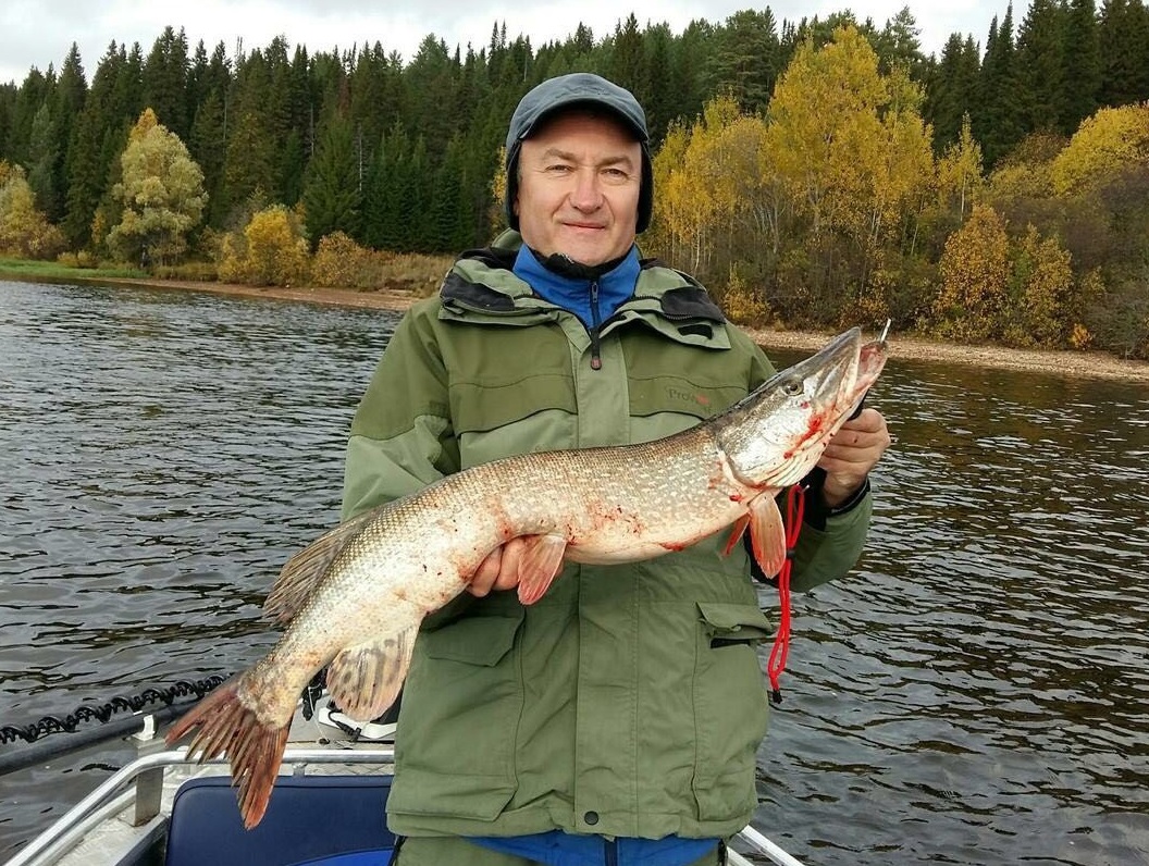 35 джиг головка купи лучший спиннинг катушка Куляпин ловля рыбалка судак щука обучение