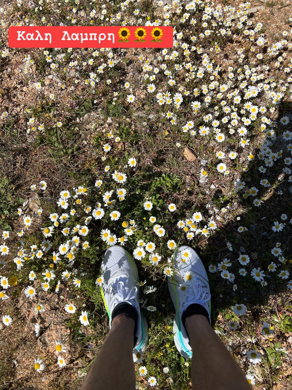 050A6A08-63EB-4077-A168-868FC4FA5292