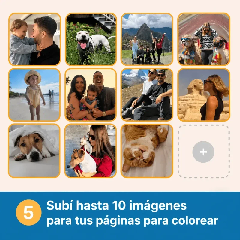 Libro 2