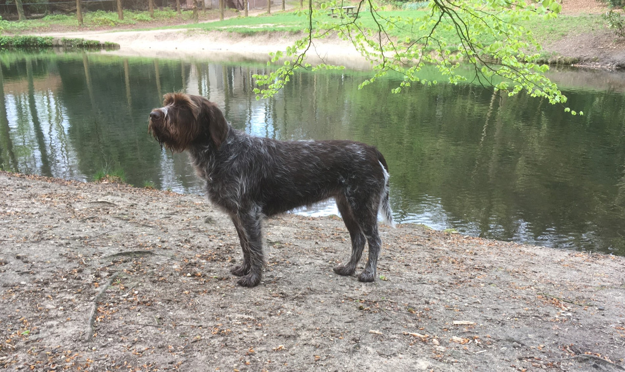 2024-10-04 Claire bij de vijver IMG_3519 (002)