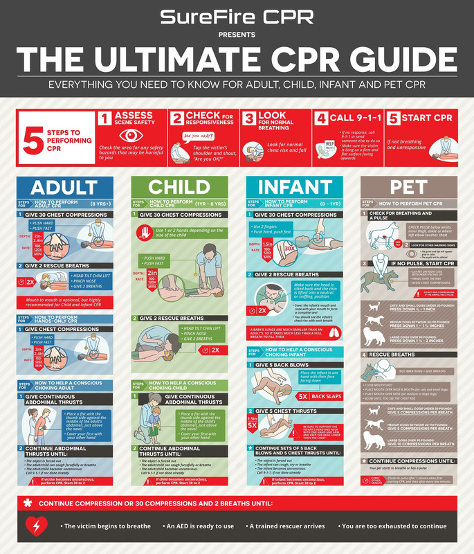 Everything You Need to Know for Adult, Child, Infant and Pet CPR
5 Steps to Performing CPR:

Assess Scene Safety

Check the area for any saftey hazards that may be harmful to you.
Check for Responsiveness
Tap the victim’s shoulder and shout, “Are you OK”
Look for Normal Breathing
Look for Normal Breathing
Call 9-1-1
If no response, call 9-1-1 or send someone else to do so
Make sure the victim is lying on a firm and flat surface facing upwards
Start CPR

If not breathing and unresponsive

Steps for How to Perform Adult CPR:

Give 30 Chest Compressions
Push down hard and fast in the middle of the chest, over the breastbone, with one hand on top of the other and fingers interlaced
Press down 2-2.4 inches deep and at least 100-120 compressions per minute
Allow for full chest recoil between each compression
Give 2 Rescue Breaths
Make sure the head is tilted back and the chin is lifted
Pinch the nose shut and cover the victim’s mouth with your mouth to form a complete seal
Blow inside the victim’s mouth for 1 second and check to see if the victim’s chest rises
If their chest does not rise, give another breath
Mouth to mouth is optional, but highly recommended for child and infant CPR
Continue 30 Compressions And 2 Breaths Until
The victim begins to breathe
An AED is ready to use
A trained rescuer arrives
You are too exhausted to continue
Special Considerations for Adult CPR

Depending on the age of the Adult victim, the rescuer may fracture the sternum and/or ribs of the victim when performing CPR
In order for CPR to be effective, the rescuer must push down hard, at least 2 inches deep, on the victim’s chest. Although, this pressure may do harm to the victim such as break bones. The decision to give CPR relies on the rescuer, but physicians suggest that the victim would most likely rather live with broken bones than not live at all

Steps for How to Help a Conscious Choking Adult:

Give Continuous Abdominal Thrusts
Place a fist with the thumb side against the middle of the child’s abdomen, just above the navel
Cover your fist with your other hand
Continue Abdominal Thrusts Until
The object is forced out
The adult/child can cough forcefully or breather
The child becomes unconscious. Call 9-1-1 if not done already

Steps For How to Perform Child CPR (1yr-8yr):

Give 30 Chest Compressions

You can use one or two hands: For one-handed compressions, press down hard and fast on the center of the chest using the heel of your hand
For two-handed compressions, push down hard and fast on the center of the chest with the heel of one hand and place the other over top
Push down about 2 inches deep, giving at least 100 compressions per minute
Allow for full chest recoil between each compression

Give 2 Rescue Breaths

Make sure the head is tilted back and the chin is lifted
Pinch the nose closed and cover their mouth with your mouth to form a complete seal
Blow inside the victim’s mouth for 1 second and look for their chest to rise
If the chest doesn’t rise, give another breath

Steps on How to Help A Conscious Choking Child:

Give Continuous Abdominal Thrusts
Place a fist with the thumb side against the middle of the child’s abdomen, just above the navel
Cover your fist with your other hand
Continue Abdominal Thrusts Until
The object is forced out
The adult/child can cough forcefully or breather
The child becomes unconscious. Call 9-1-1 if not done already

If child becomes unconscious, perform CPR. Start 30 to 2
Steps for How to Perform Infant CPR:

Give 30 Chest Compressions

Using two fingers, push down in the center of the chest, just below the nipple line
Give 30 chest compressions at the rate of at least 100 per minute
Press down approximately 1 1/2 inches deep
Allow for full chest recoil between each compression

Give 2 Rescue Breaths

Make sure the head is tilted back and the chin is lifted into a neutral, or sniffing, position
Cover the infant’s mouth and nose with your mouth to form a complete seal
Give 2 rescue breaths, each 1 second long
You should see the infant’s chest rise with each breath
**A baby’s lungs are much smaller than an adult’s, so it takes much less than a full breath to fill them

Steps for How to Help a Conscious Choking Infant:

** The infant cannot cough, cry or breathe**

Give 5 Back Blows

Place the infant in one hand with their face facing down
Give 5 firm back blows with the heel of one hand between the infant’s shoulder blades
Give 5 Chest Thrusts
Turn the infant over so their face is upwards in one arm with the same hand cupping their head
Place two or three fingers in the center of the infant’s chest just below the nipples and press down onto the breastbone, about 1 1/2 inches deep – 5 Compressions
**Be sure to support the infant’s head and neck with one hand and arm, and keep the head lower than the chest**
Continue Sets of 5 Back Blows And 5 Chest Thrusts Until:
The object is forced out
The infant can cough, cry or breathe
The infant becomes unconscious. Call 9-11, if not done already

Steps For How to Perform Pet CPR:

Check For Breathing And a Pulse

Using your middle and index fingers, check your pet’s pulse below its wrist, inner thigh, below the ankle, or where the left elbow touches the chest
Check pulse below wrists, inner thight, ankle or where left elbow touches chest

Look For Other Warning Signs

The gums and lips will appear gray in color
The pupils will be dilated

If No Pulse, Start CPR

Lay your pet on its right side, with its heart facing upwards
Place your hands over the ribs where its elbows touches the chest
Begin chest compressions (**DO NOT give compressions if the animal has a pulse)

Cats and small dogs under 30 pounds: press down ½ – 1 inch
Medium dogs between 30-90 pounds: press down 1 – 1 ½ inches
Large dogs over 90 pounds: press down 1 ½ – 2 inches

Rescue Breaths

If your pet is not breathing, give rescue breaths
Cats and small dogs: close your pets mouth shut, place your mouth over the nose and mouth, and blow until you see chest rise
Medium to large dogs: close your pets mouth shut, place your mouth over the nose, blow until you see chest rise

Cats and small dogs under 30 pounds: give 5 compressions per breath
Medium dogs between 30-90 pounds: give 5 compressions per breath
Large dogs over 90 pounds: give 10 compressions per breath

5. Continue Compressions And Breaths Until

Your pet starts to breathe or has a pulse
**Check its pulse after 1 minute when first starting CPR, and then after every few minutes