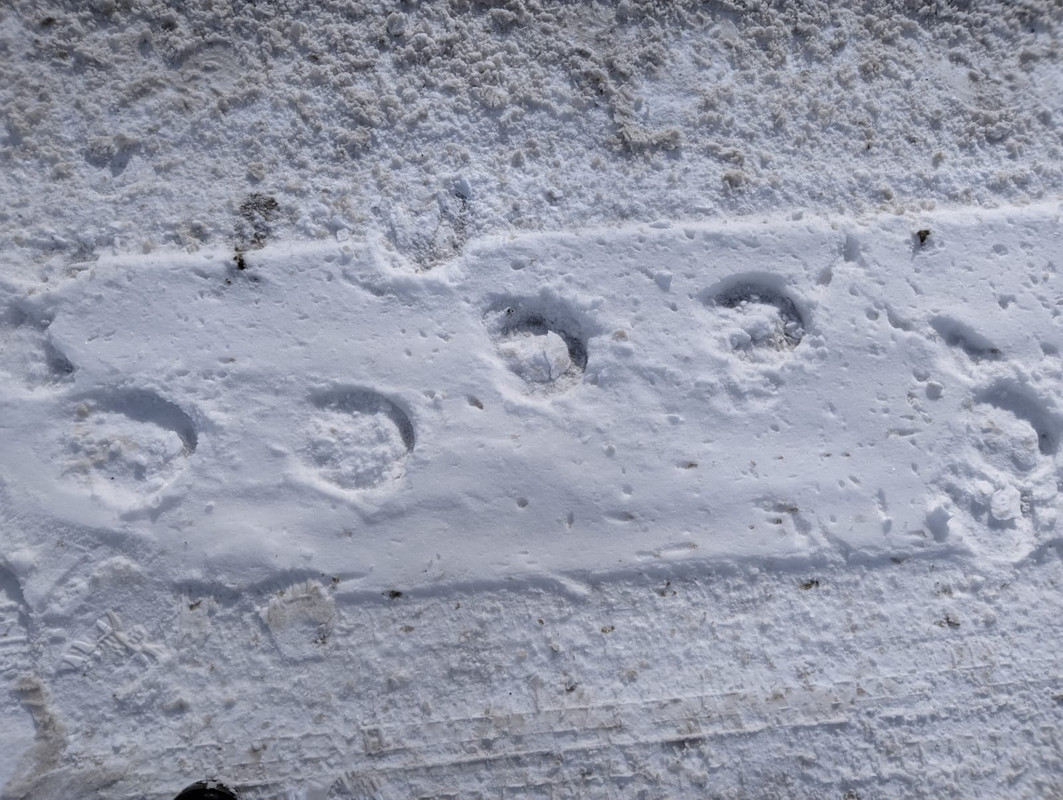 91a52a0b-1f5f-44fc-996a-7c386507f784