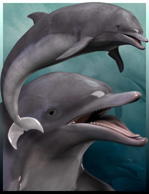 Dolphin