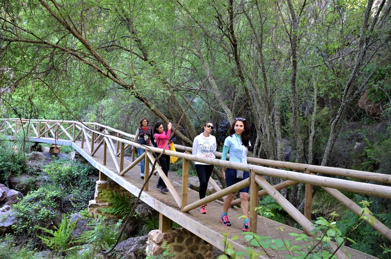 RUTA LA CHORRERA DE HORCAJO-5-5-2015-CIUDAD REAL - Paseando por España-1991/2017 (14)