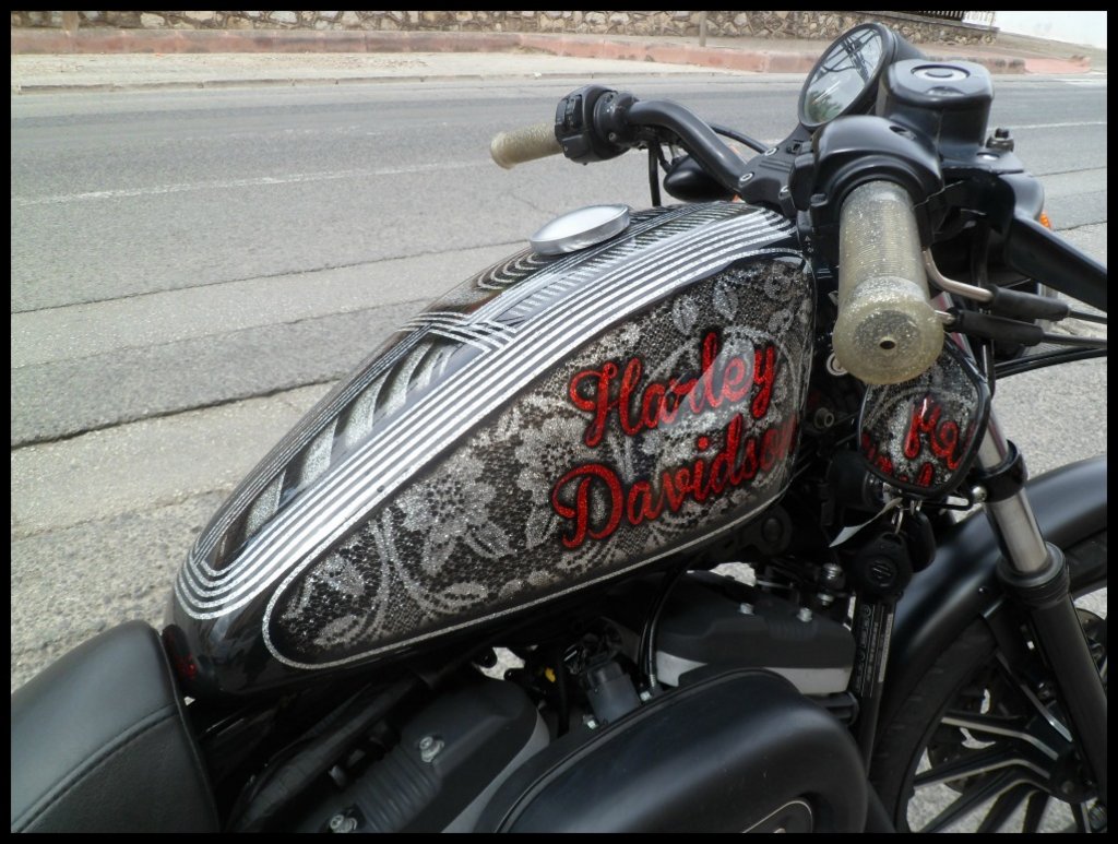 Harley-Davidson-Sportster-Iron-pintada-7