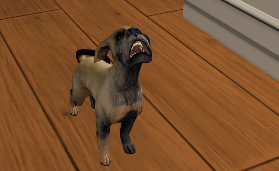 Sims2-EP9-2021-03-26-19-47-05-47