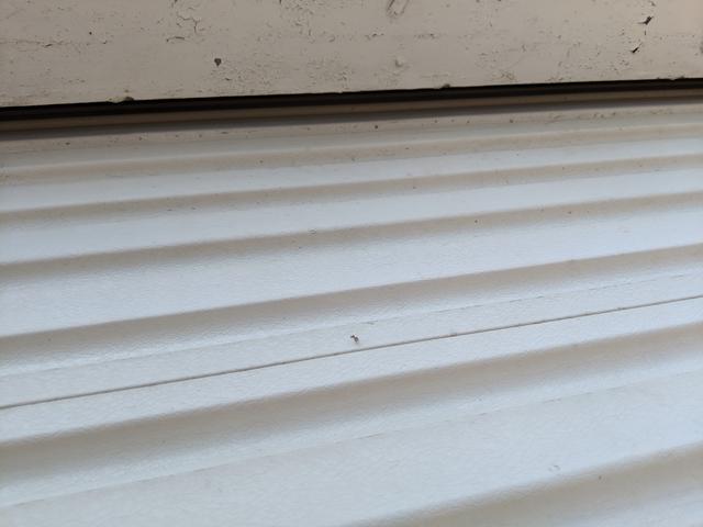 IMG-20190913-133313.jpg