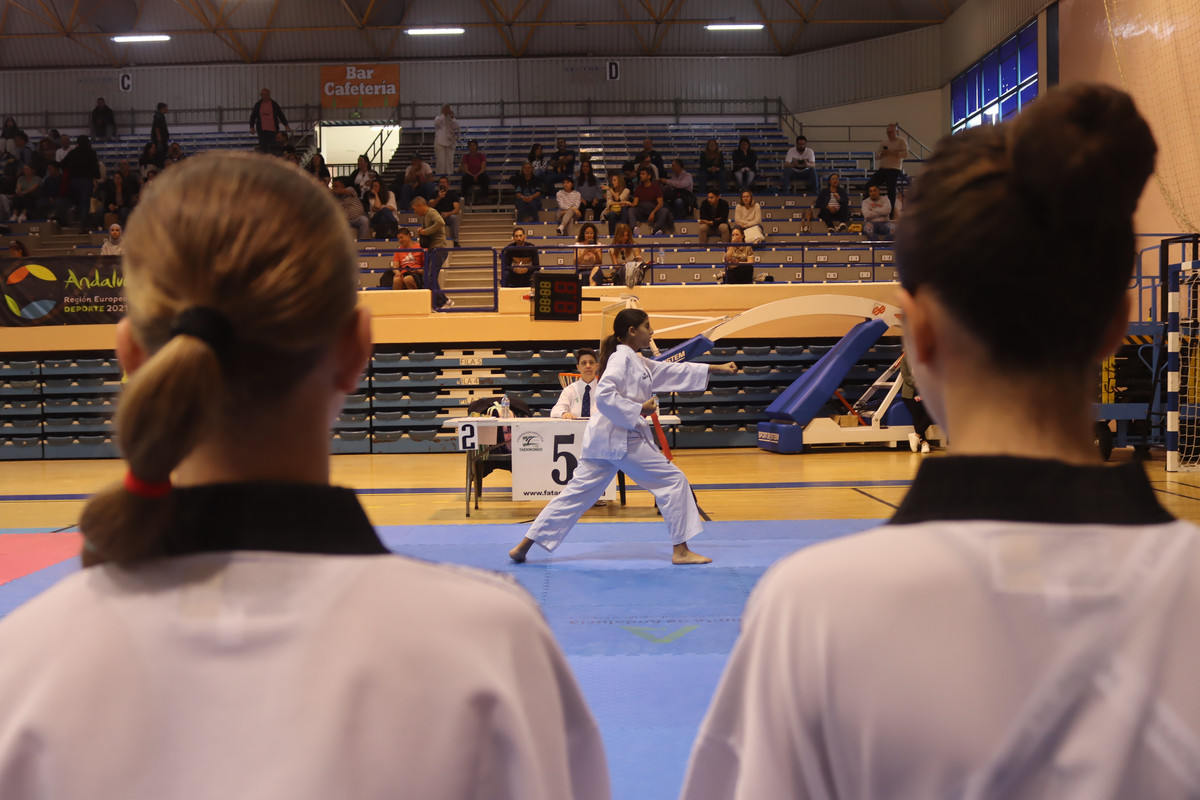 IMG-8529
