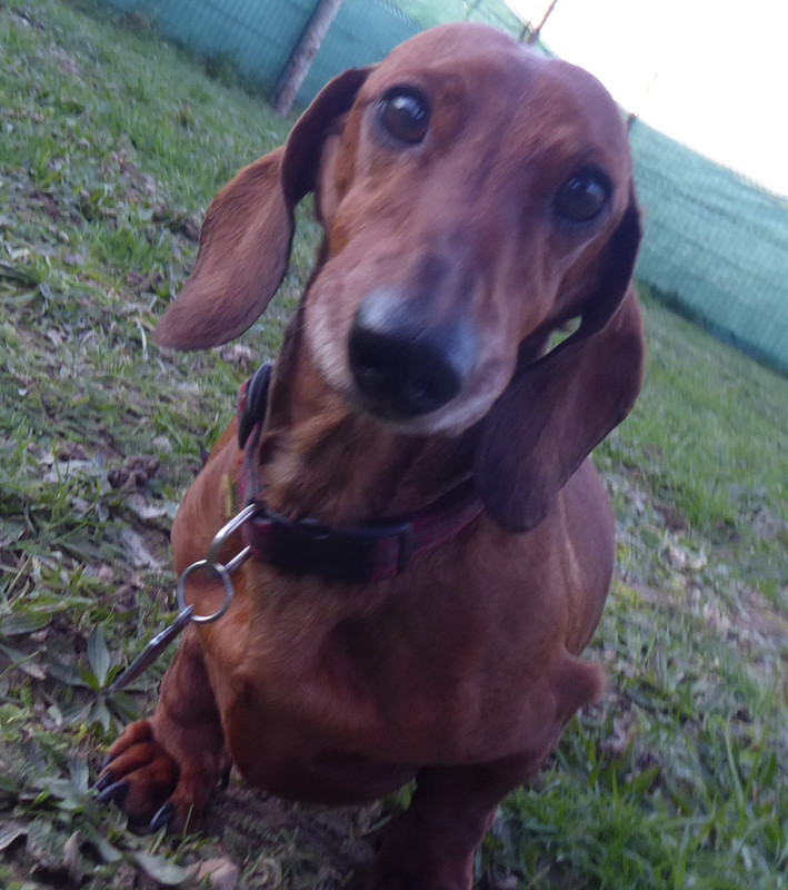 [Image: P1010972.jpg]