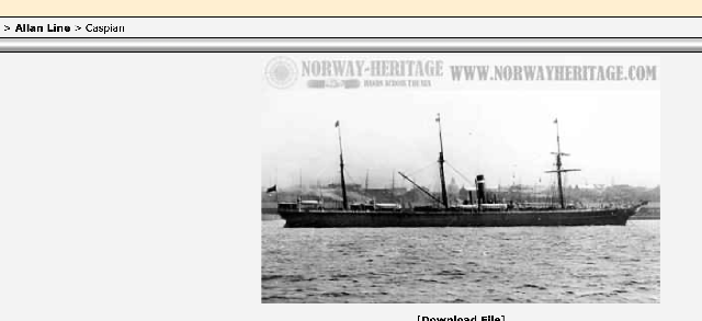 Screen-Shot-2020-03-05-at-11-08-40-AM.pn