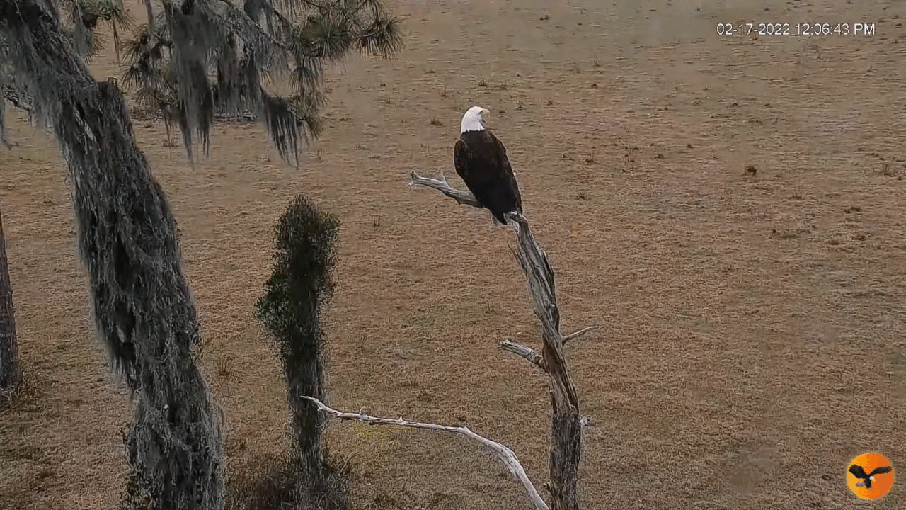 Webp.net-gifmaker (5)