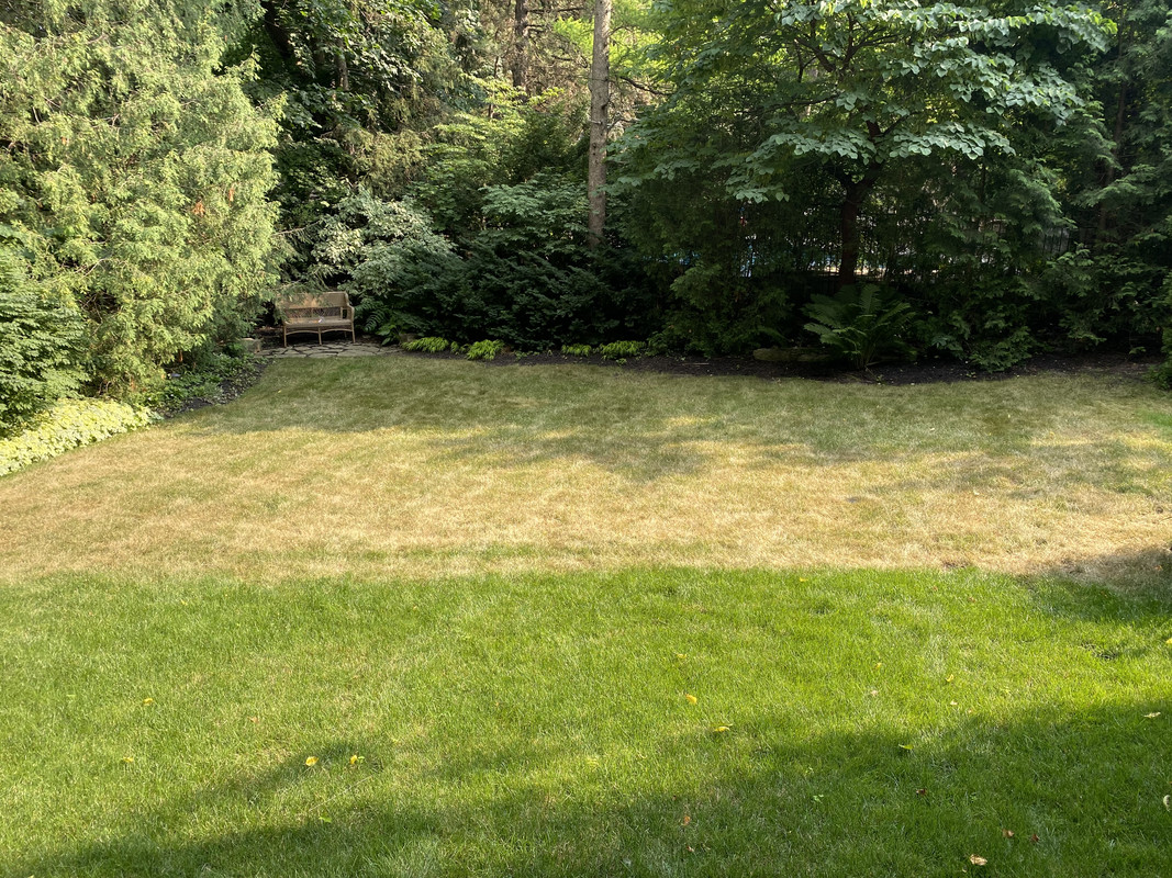 359C2782-457C-47B9-B0F0-8351CEFFDE57