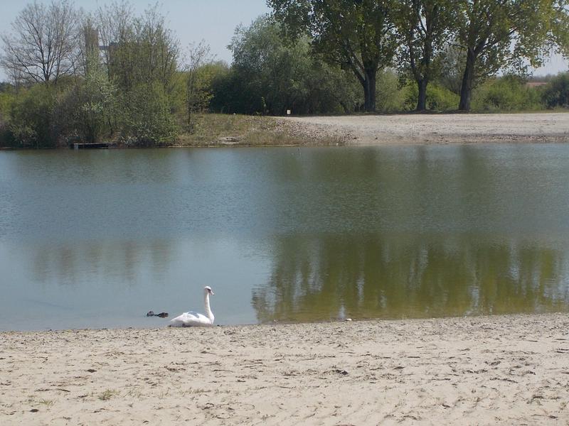 Slika
