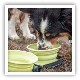 Site-Web-vignette-Instagram-Gamelle-voyage-41