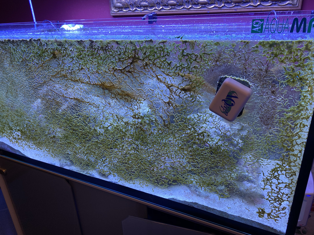 F9D0A077-877F-41FB-8333-D2799209CEB6