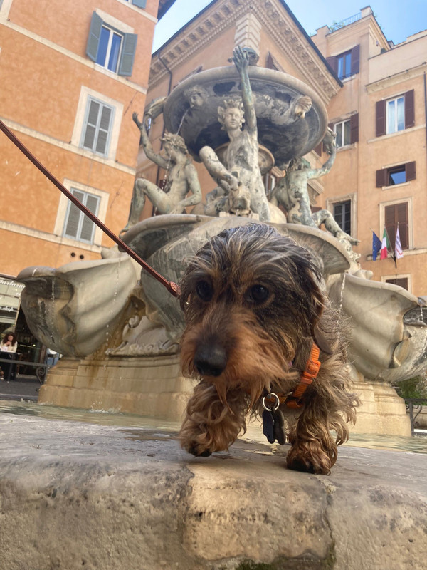 [Image: IMG-20230325-WA0004.jpg]