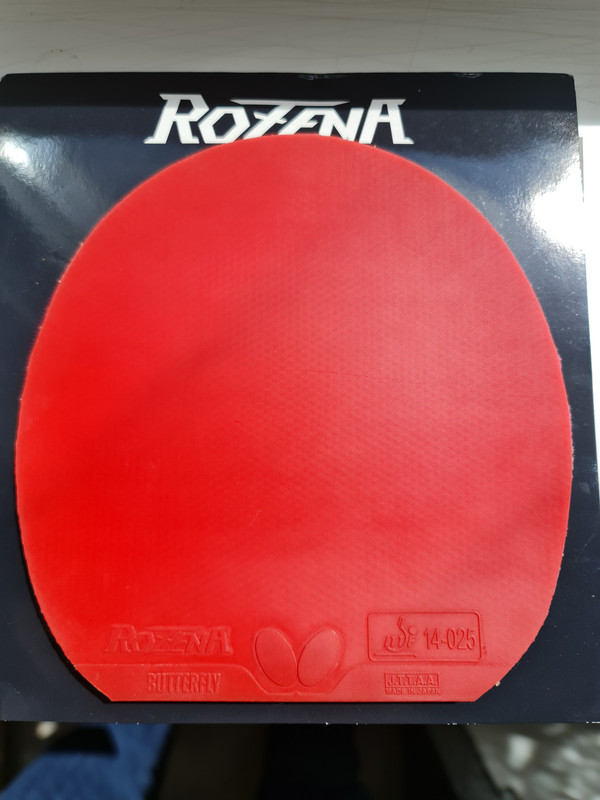 12. BTY ROZENA ROSU 2.1 (2)