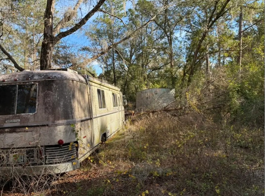 Screenshot 20260221 093749 Chrome