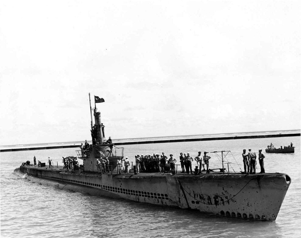 0828726.jpg