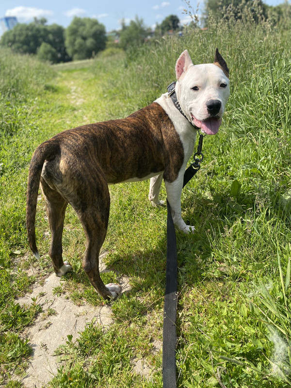 6B18F111-B842-4290-8751-44B2DC54CAC7