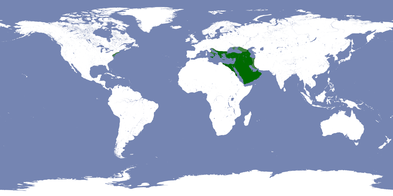Jakonidi Territories Circa 1607