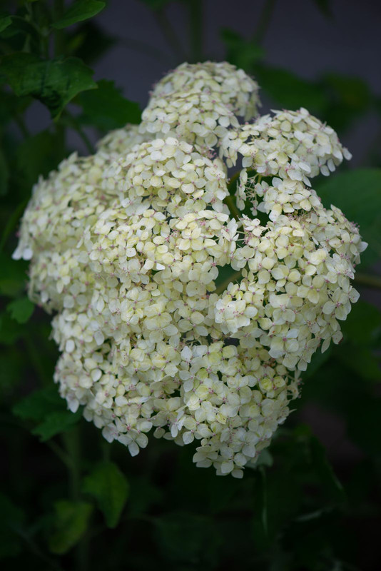 IMG-a2a2783053ef3d523809b00c77b7ada3-V