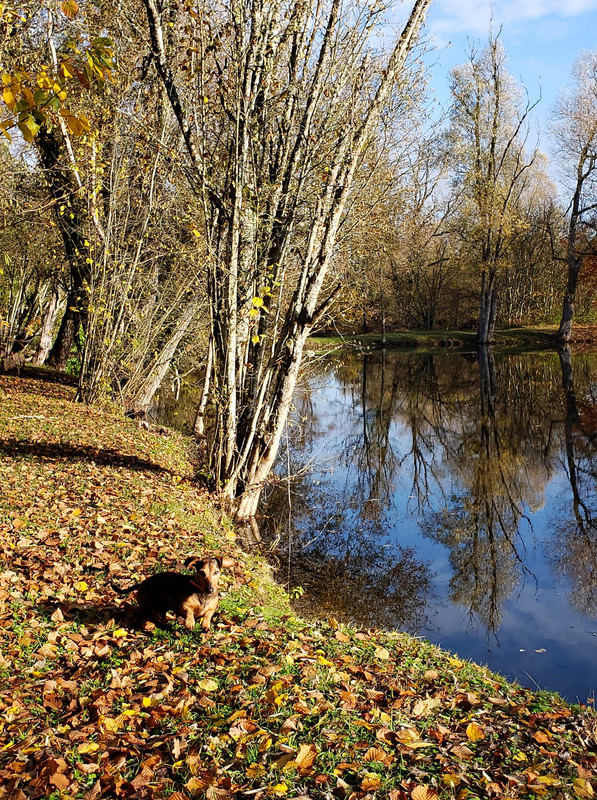 [Image: 316414845-1553586018473401-1827316203783342122-n.jpg]