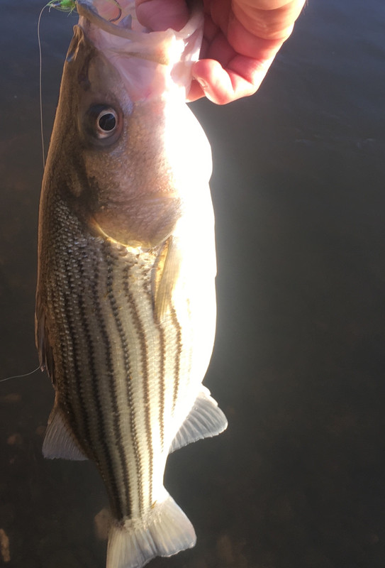 6A0F567A-3D5B-4BEA-A089-01931E858EAF