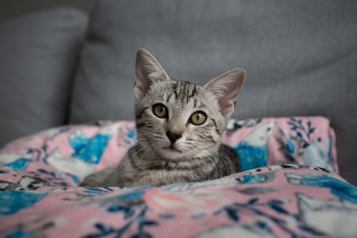 752AA7E2-B1F4-481B-968C-9B12D31F0A8C